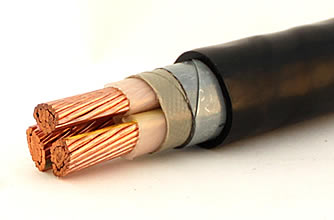 额定电压1kV和3kV交联聚乙烯绝缘（阻燃）电力电缆1.jpg